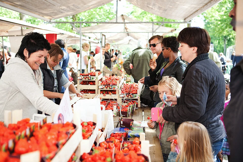 ROTTERDAM HARVEST