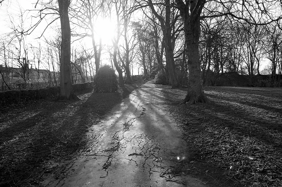 FRIENDS OF COTTERIDGE PARK