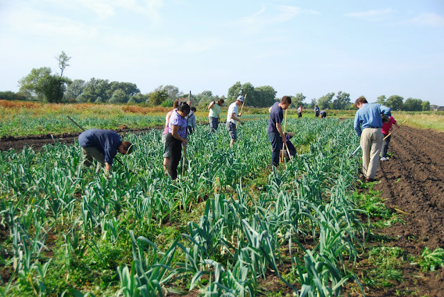 CROPSHARE