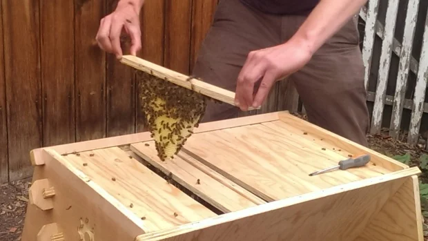 OPEN SOURCE BEE HIVES