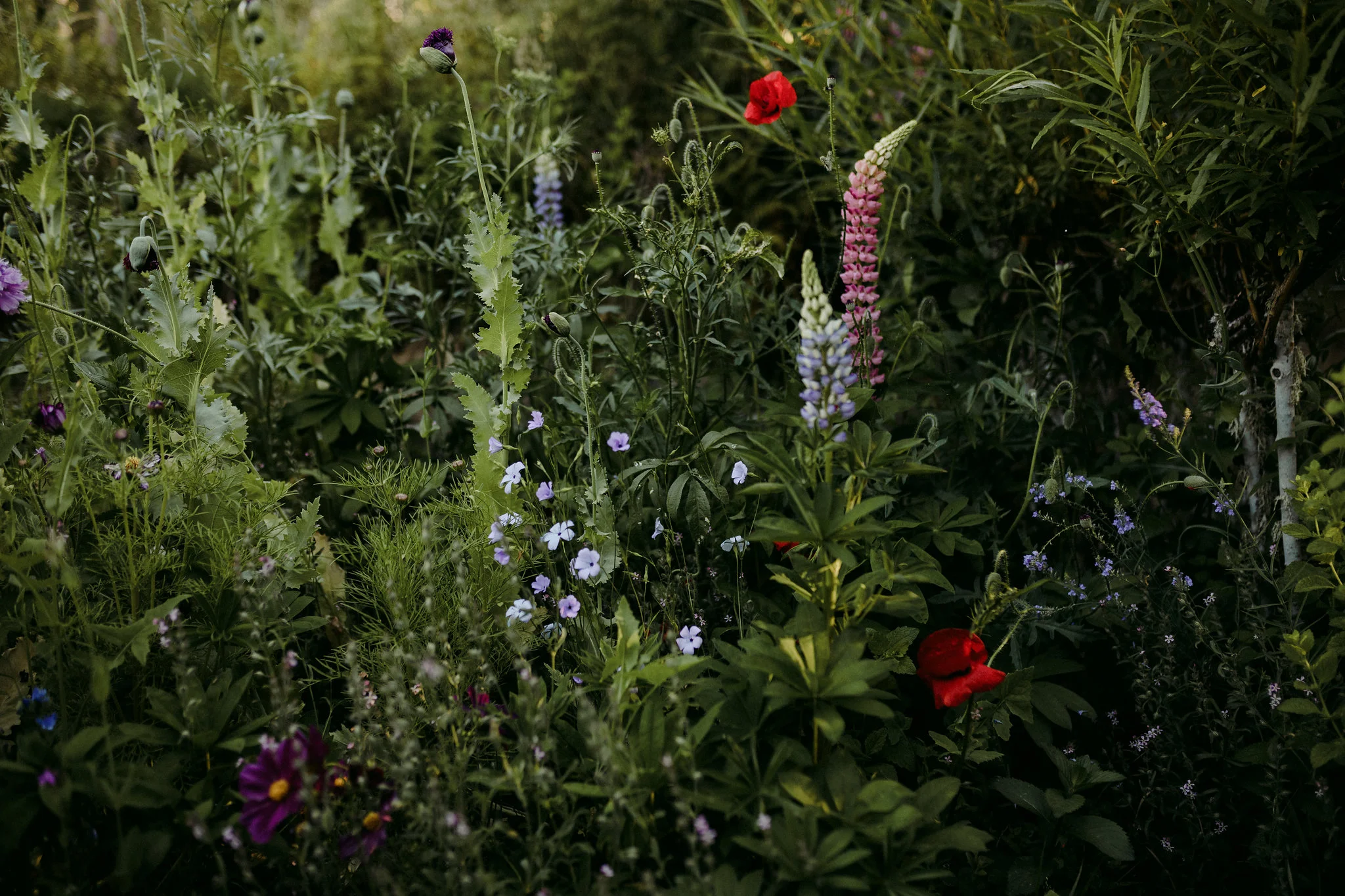 New_zealand_destination_wedding_photographer-415.jpg