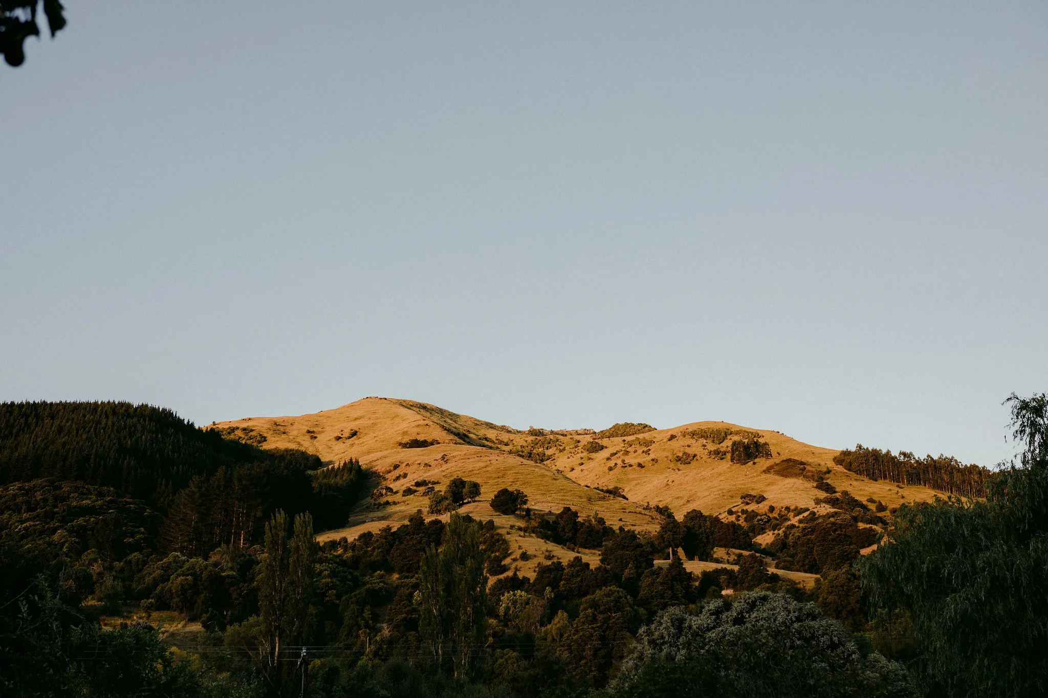 New_zealand_destination_wedding_photographer-525.jpg
