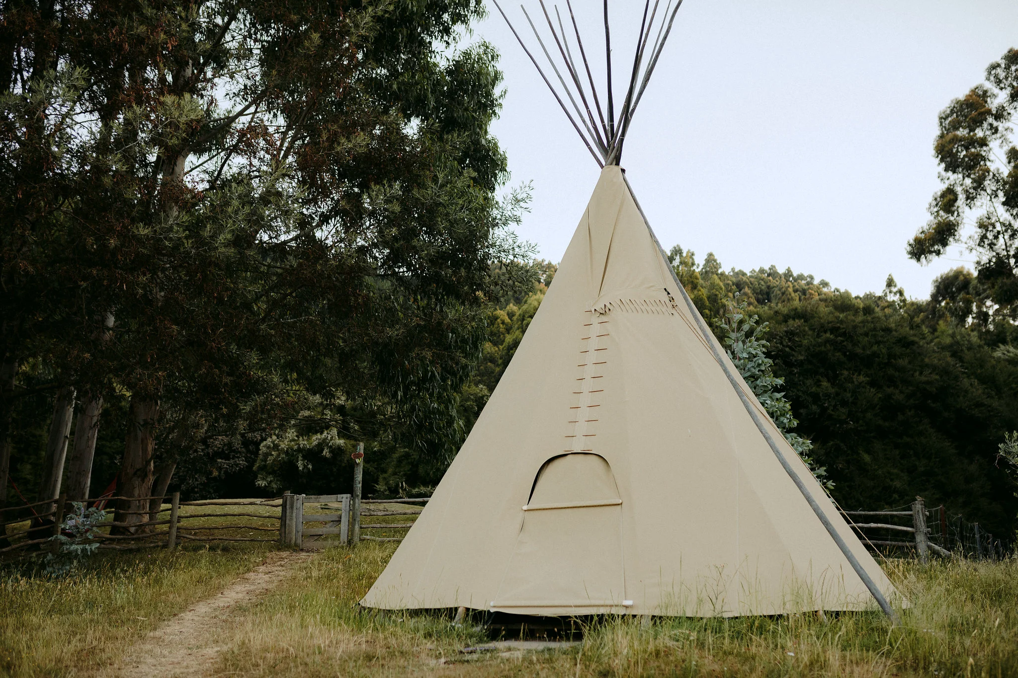 New_zealand_destination_wedding_photographer-529.jpg