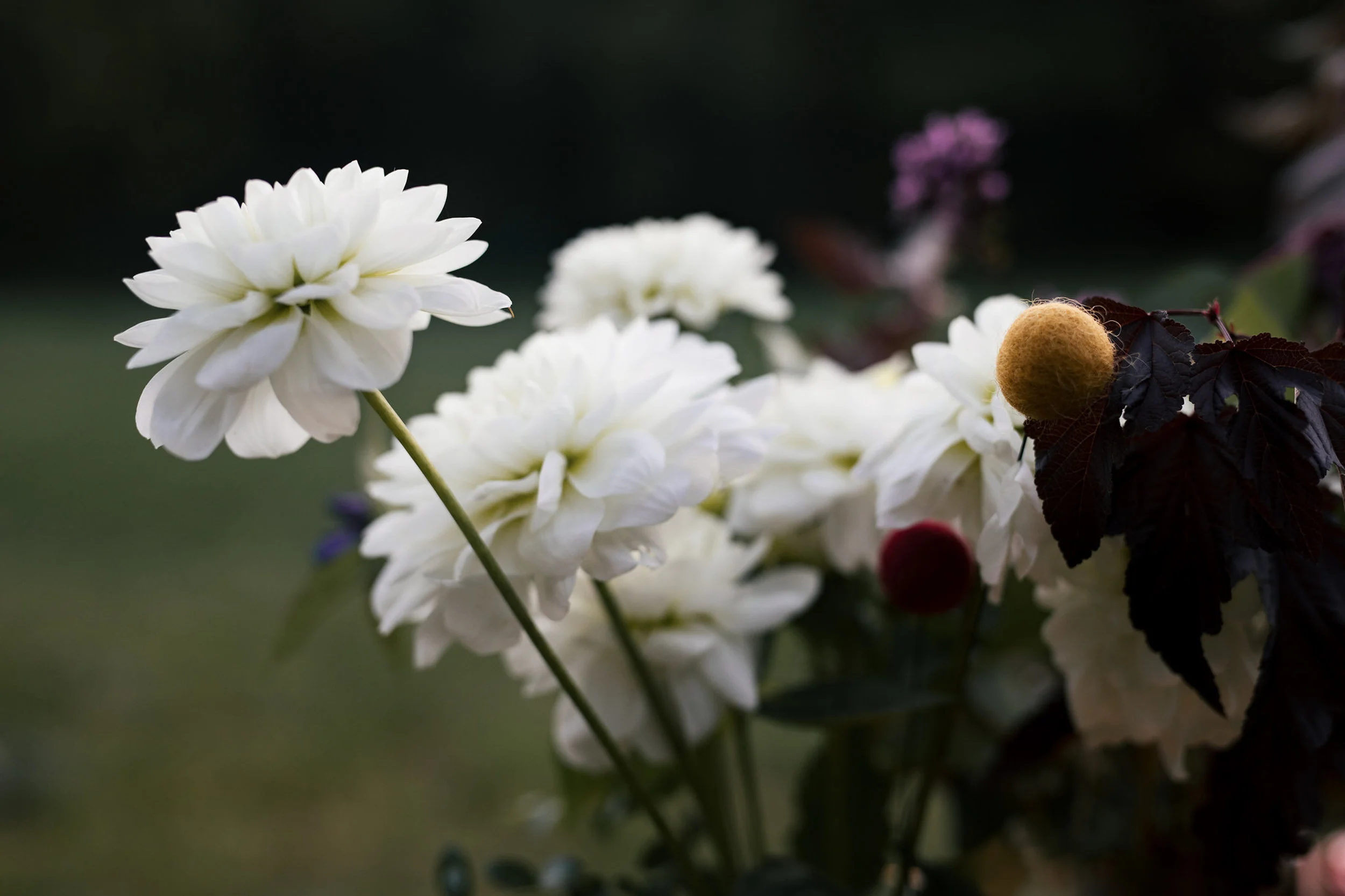 boston_wedding_photographer-111.jpg