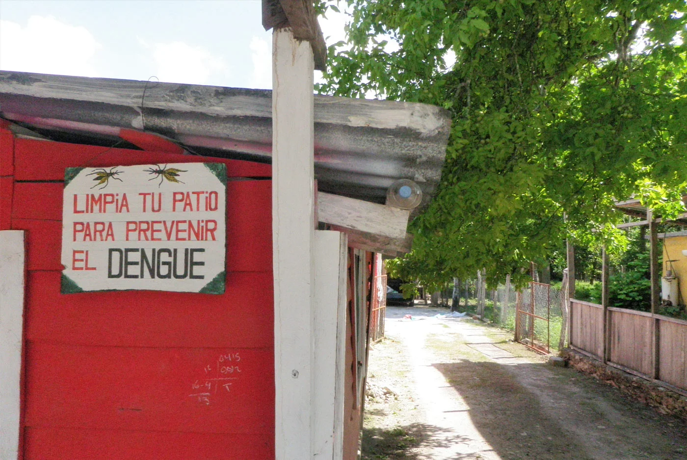 dengue.jpg