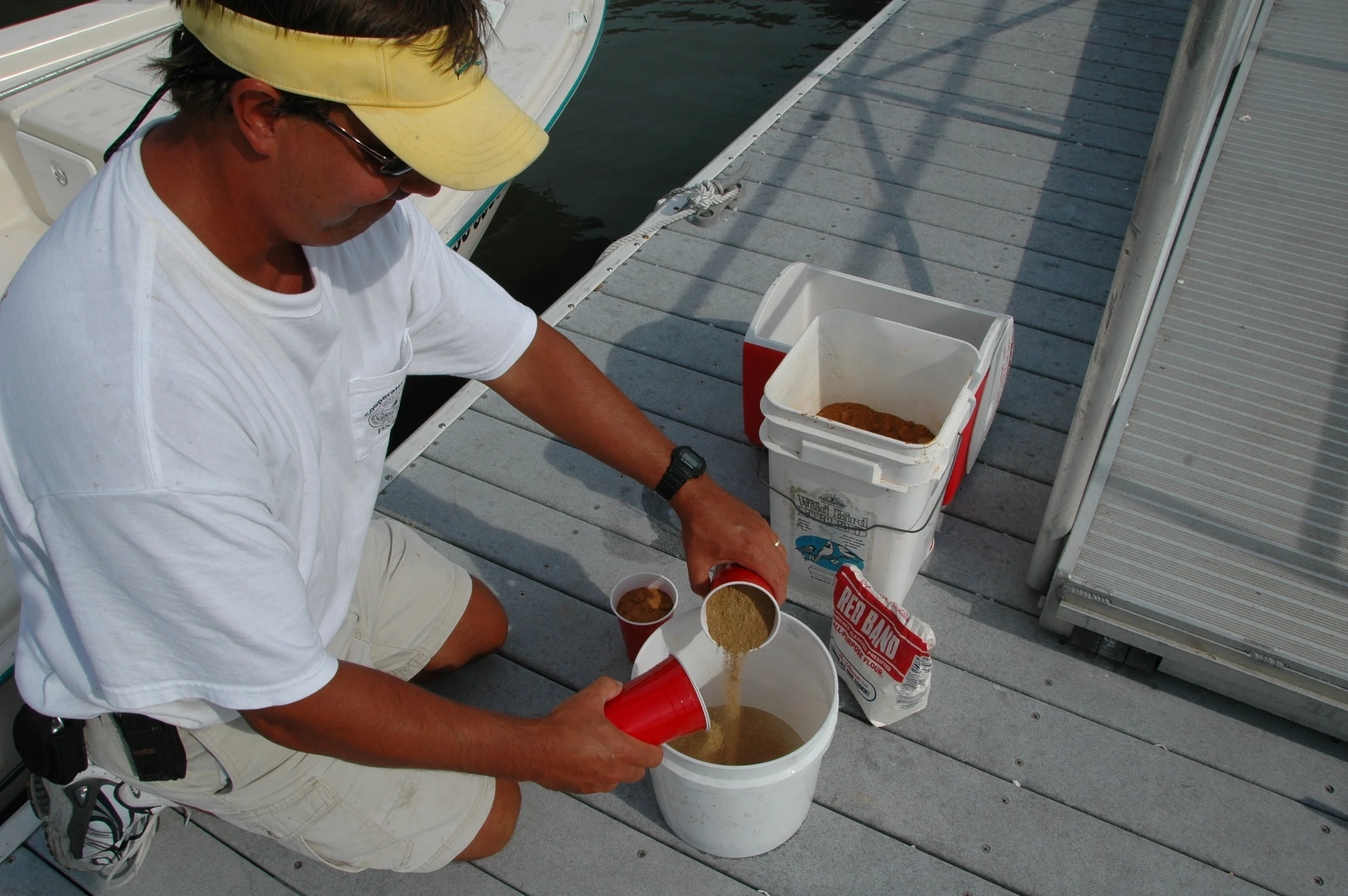 A StepbyStep Guide to Shrimp Baiting — SOUTH CAROLINA COASTAL RESOURCES
