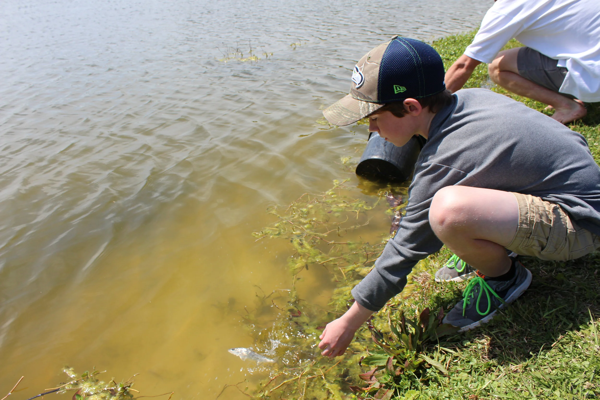 A group of Charleston-area Boy Scouts assisted with a pilot stocking of young red drum in a Charleston County park. (Photo: E. Weeks/SCDNR) 