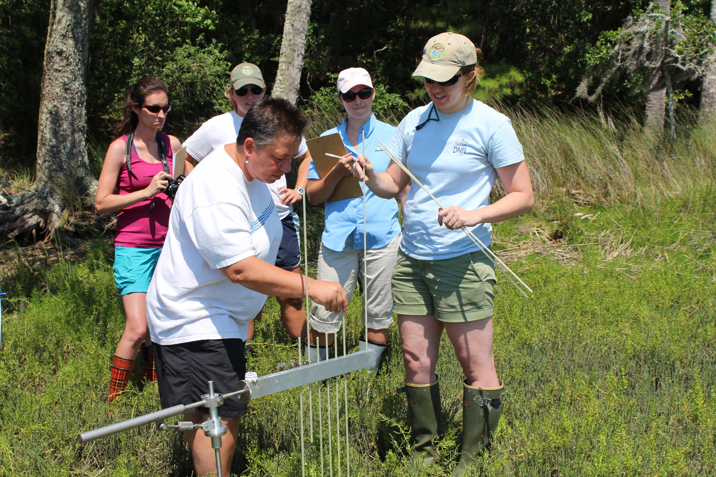 SCDNR scientist Katie Luciano (right) demonstrates how to measure marsh erosion or accretion to workshop participants, who then learn how to teach this in the classroom. (Photo: E. Weeks/SCDNR)