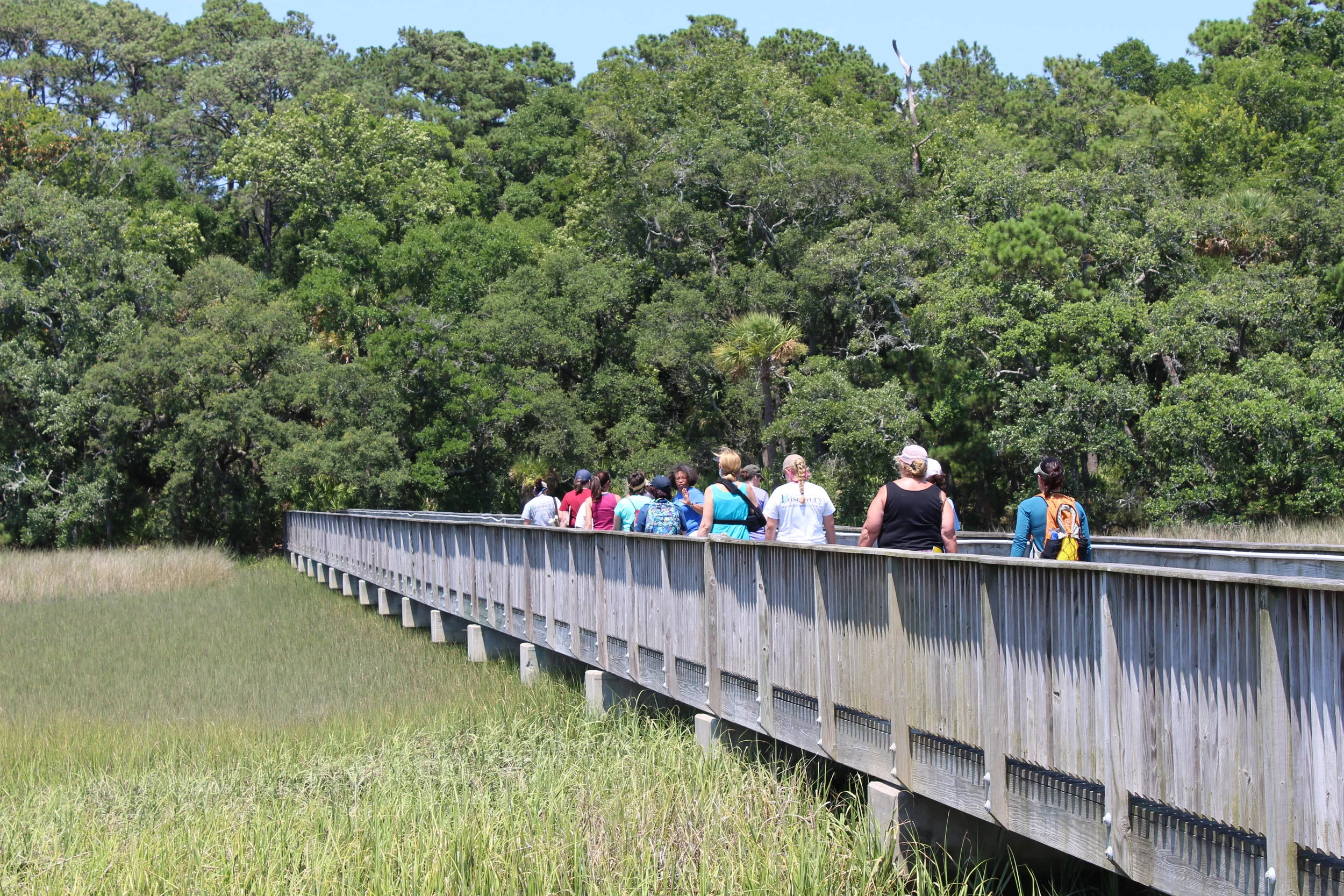 (Photo: E. Weeks/SCDNR)