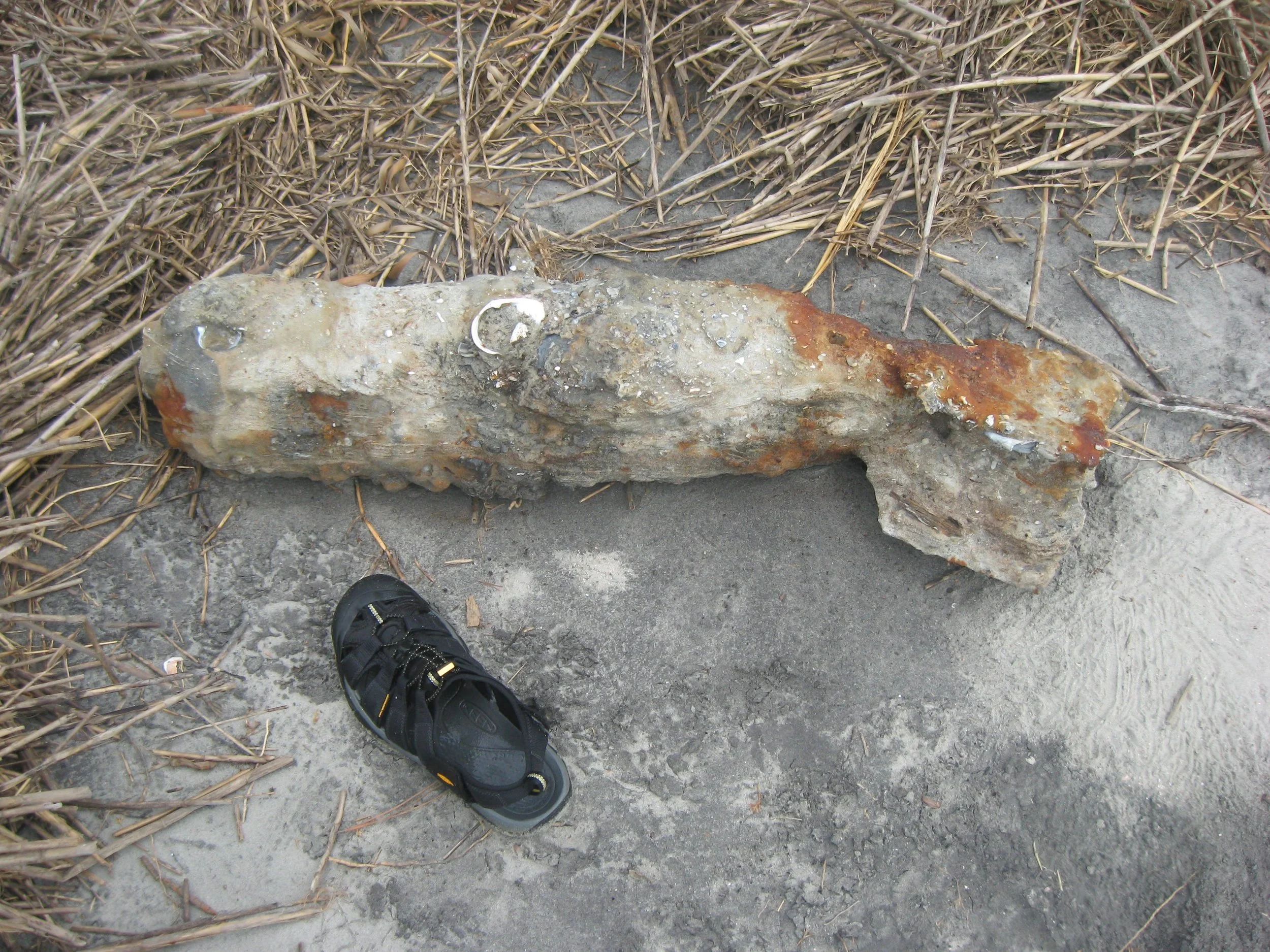 This WWII-era dud, exposed by erosion on the beach at Otter Island, was safely removed and disposed of by the U.S. Marine Corps. (Photo: Al Segars)