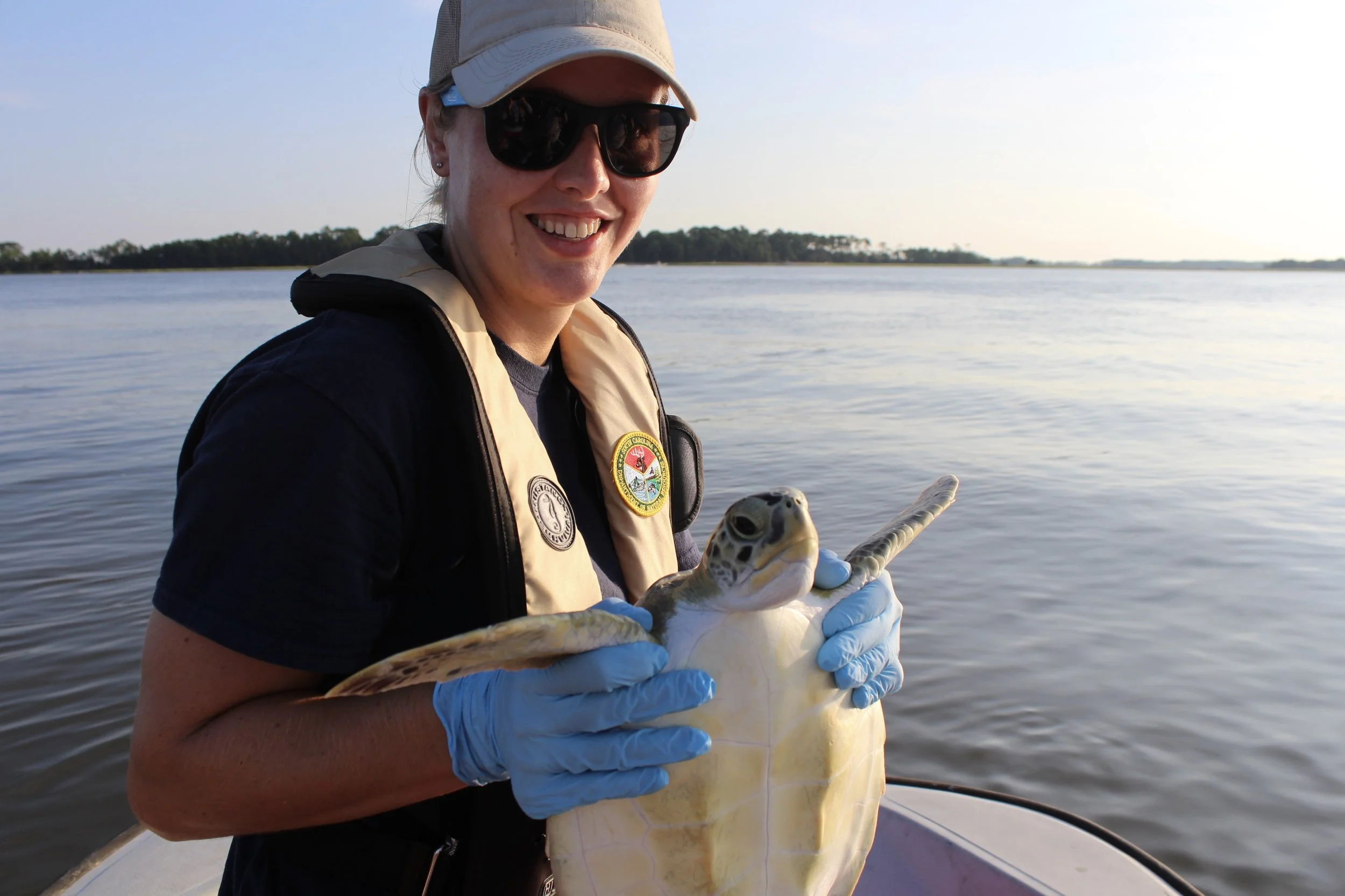 SCDNR sea turtle technician Emma Schultz prepares to release Gill the green sea turtle in the Stono River. (Photo: E. Weeks/SCDNR) 