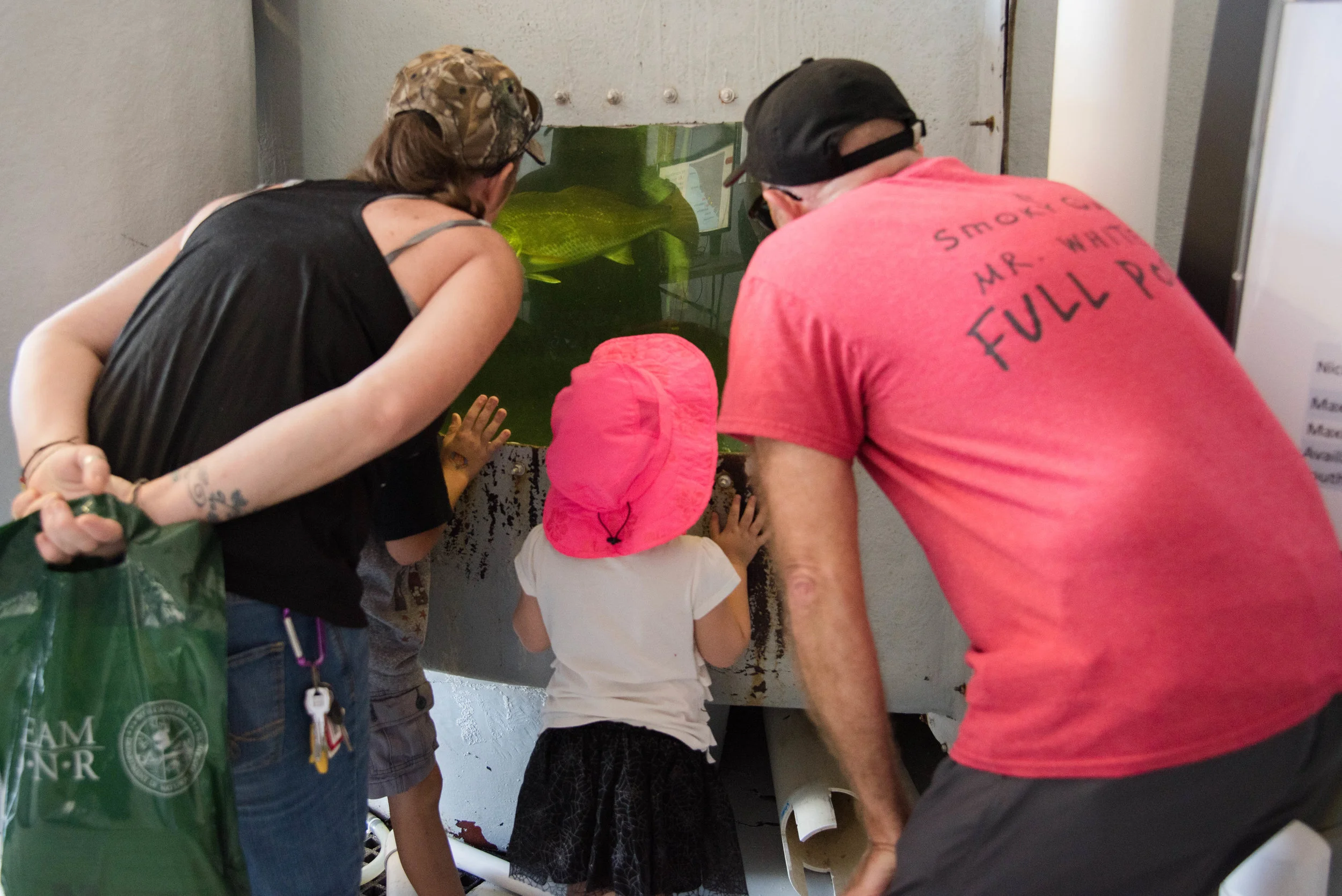Visitors got to come face-to-face with several tanks of large red drum, spotted seatrout, and cobia, all of which are studied and bred at SCDNR to help boost the local, wild populations of these fish. (Photo: Mary Ellen Williams)