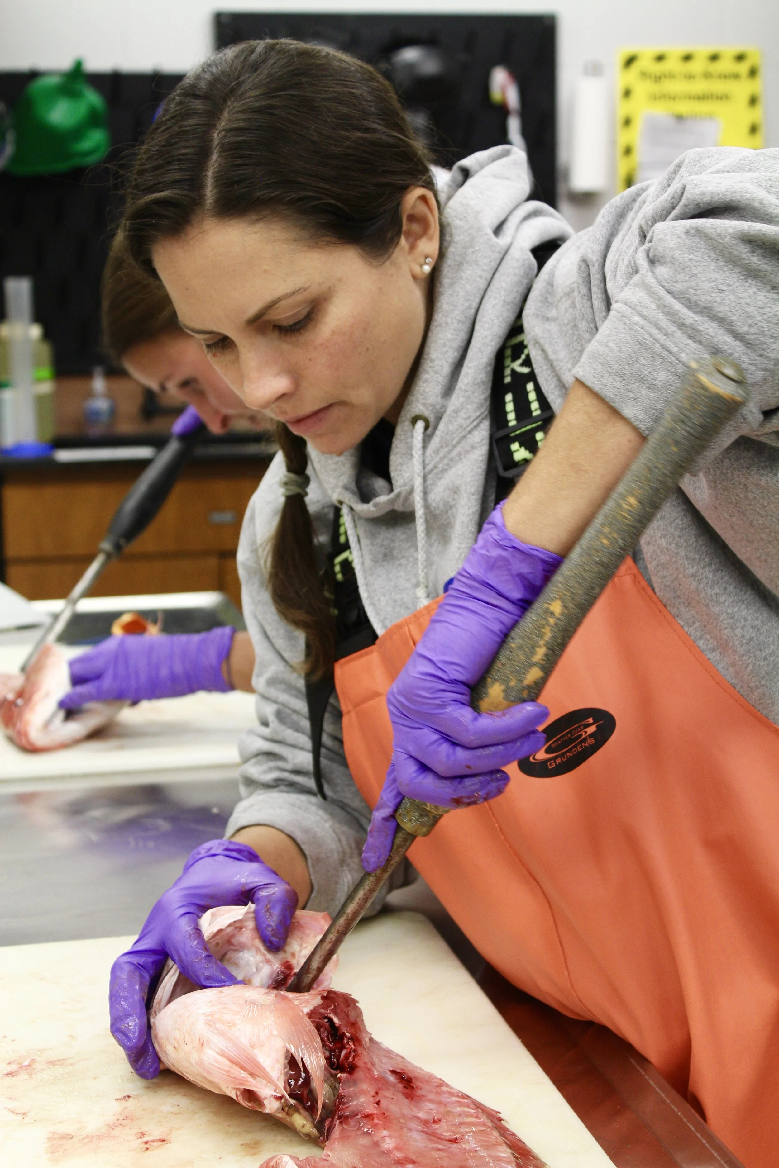 Michelle Willis finesses her way through the gills to obtain an otolith from this red snapper. (Photo: E. Weeks/SCDNR)