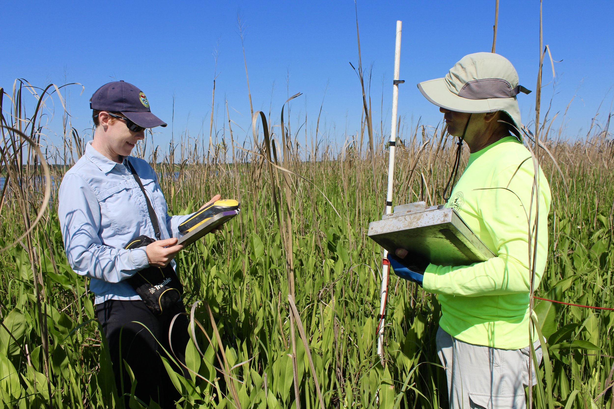 boots for field work