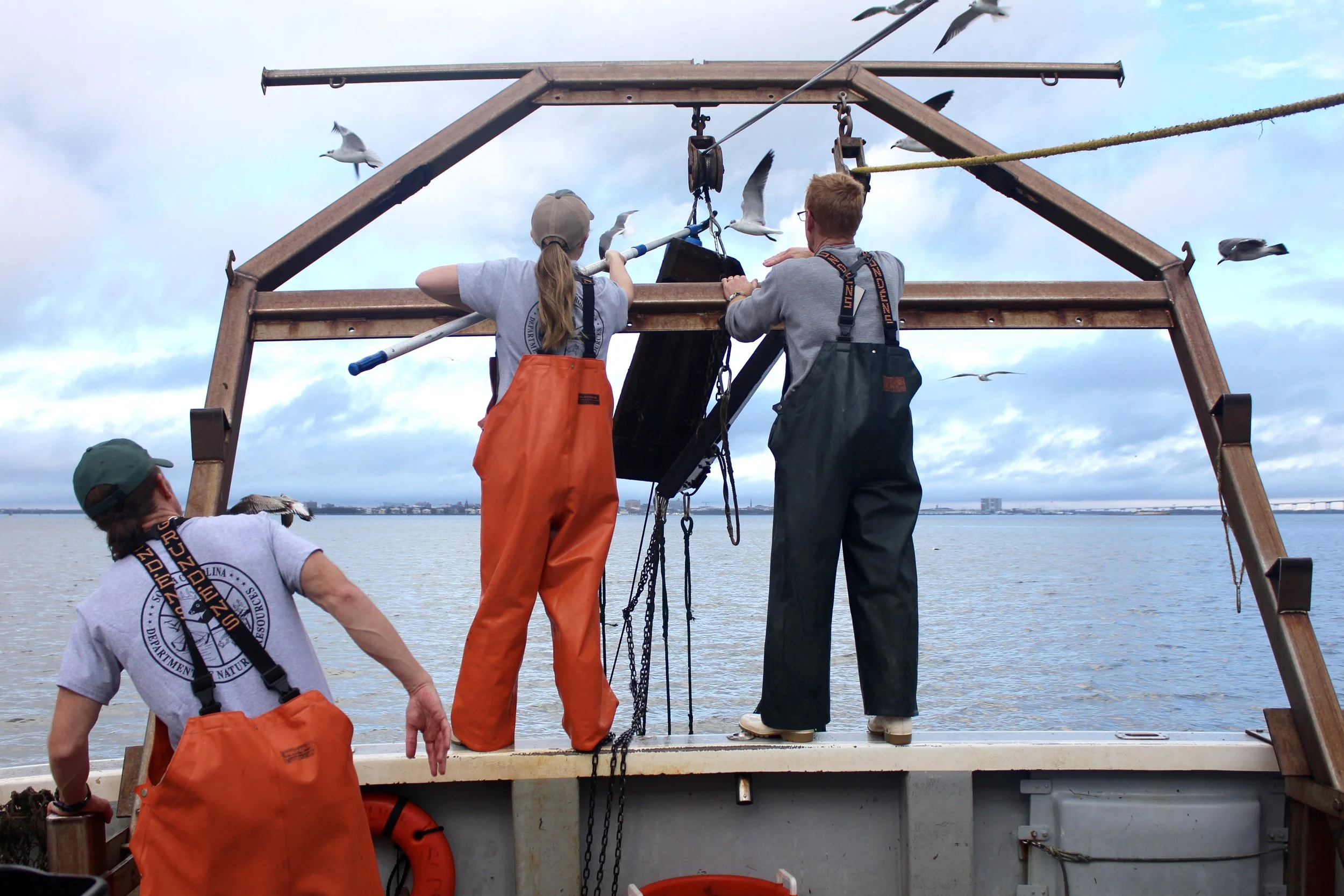 Elizabeth Gooding and Jeff Brunson carefully untangle the net their team uses to catch and study crustaceans in major waterways along the coast. Their white shrimp boats provide good traction on wet/slimy surfaces. (Photo: E. Weeks/SCDNR)