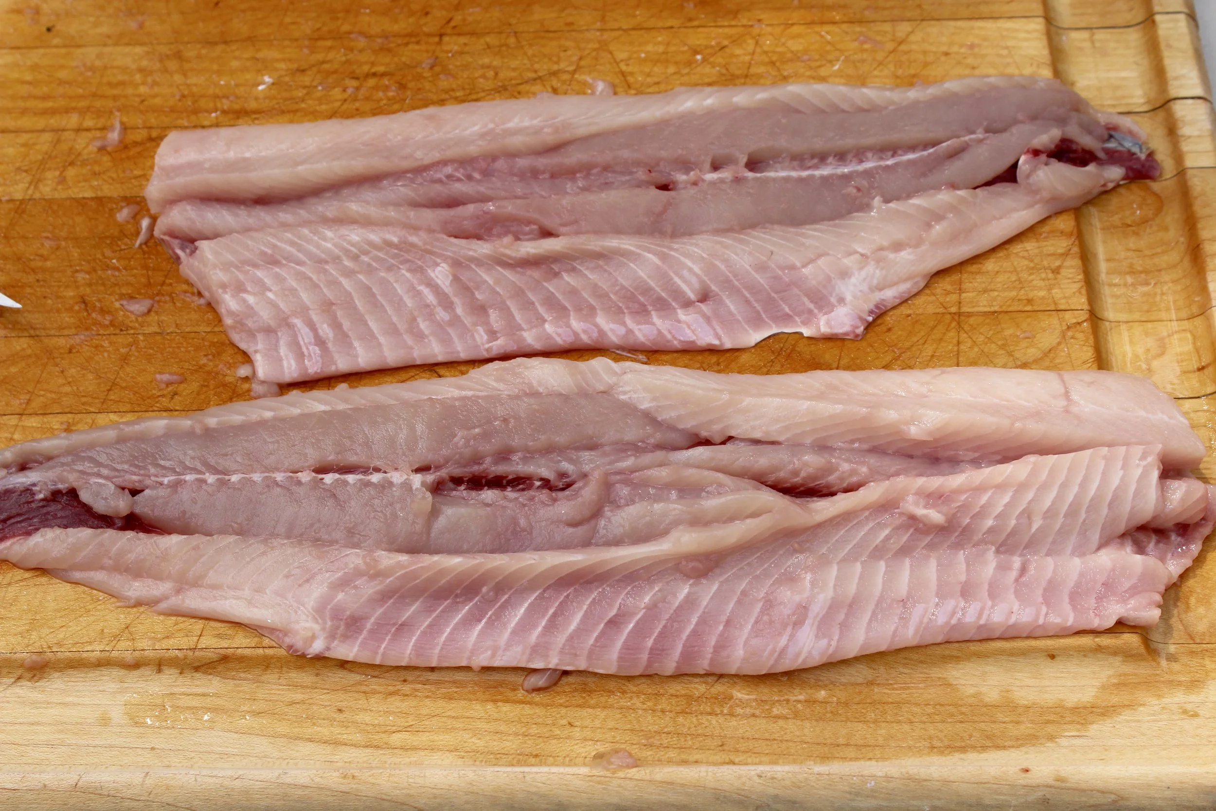 The finished product, when done right, has many cuts but still resembles a set of fillets. (Photo: E. Weeks/SCDNR)