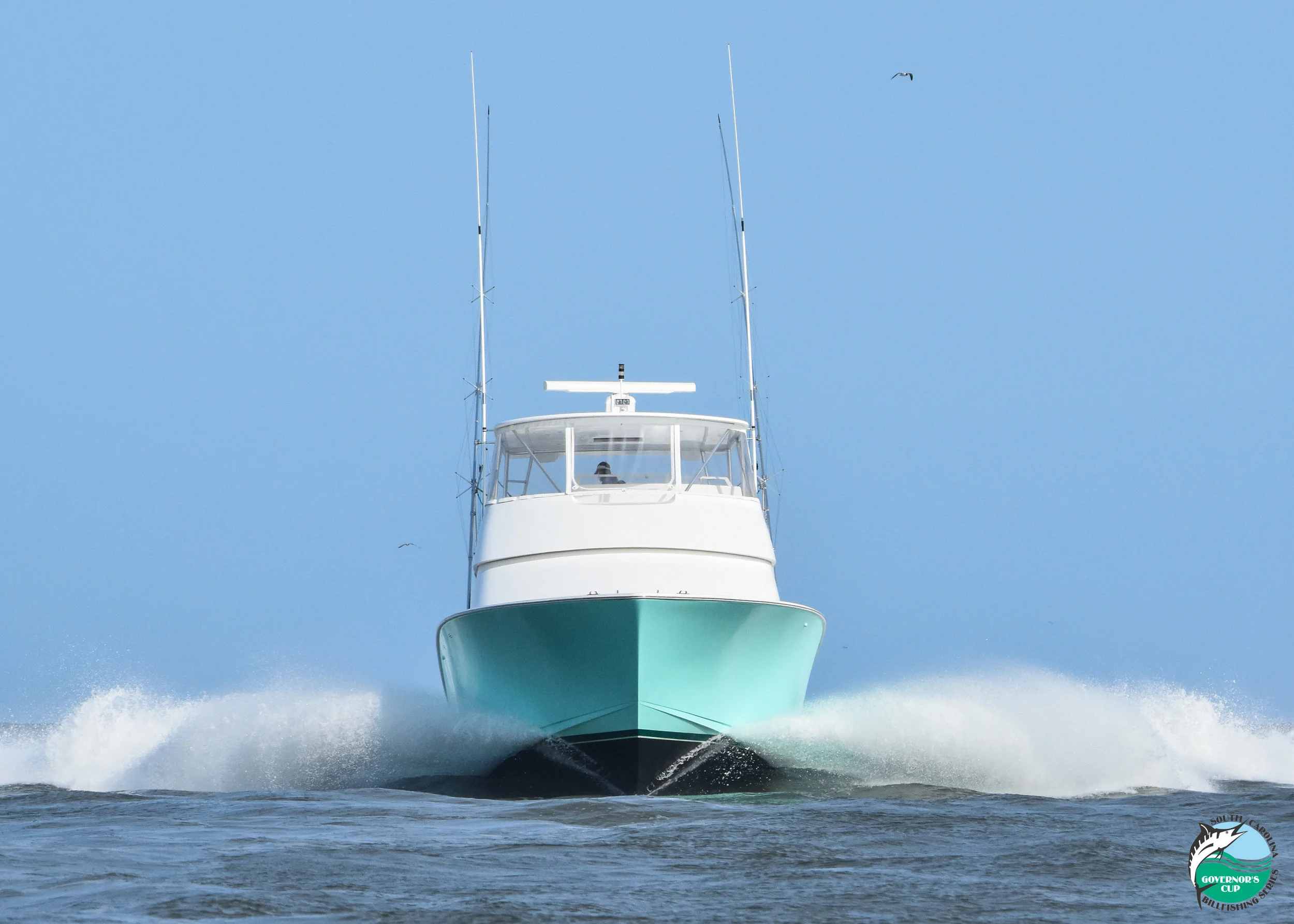 DSC_7324.jpg