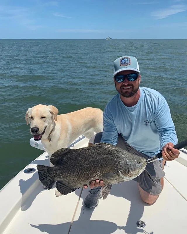 ATTN anglers! The S.C. Legislature recently passed new limits for two saltwater fish. 🐟🐟🐟 Atlantic spadefish now have a min. size limit (14 in) &amp; bag limit of 10 per day (30 per boat); tripletail now have a min. size limit (18 in) &amp; bag li
