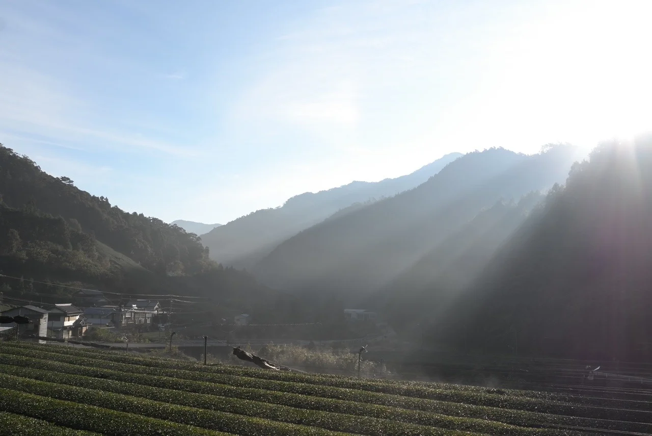 Hinoki water