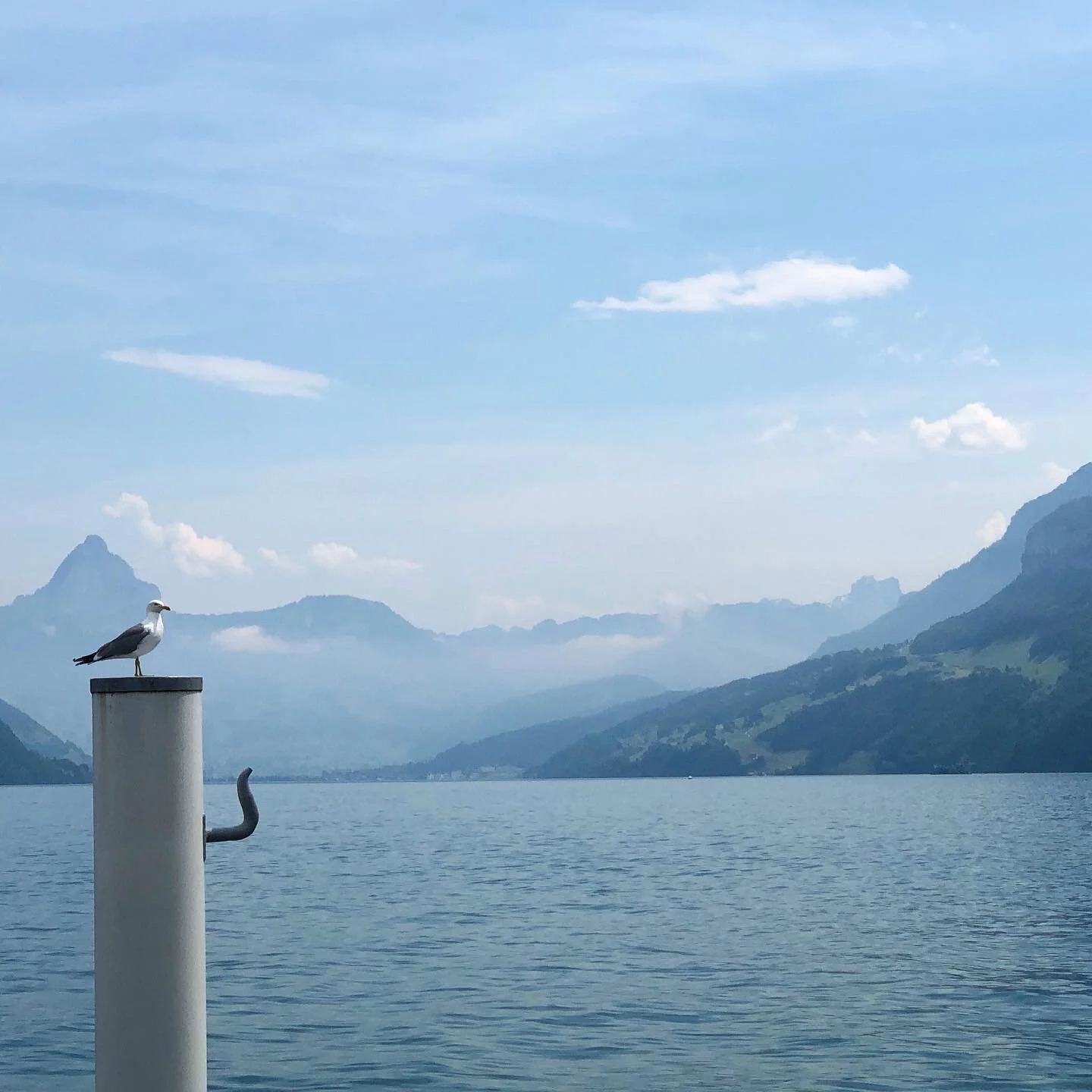 Producer Visit: Phytodor, Buochs