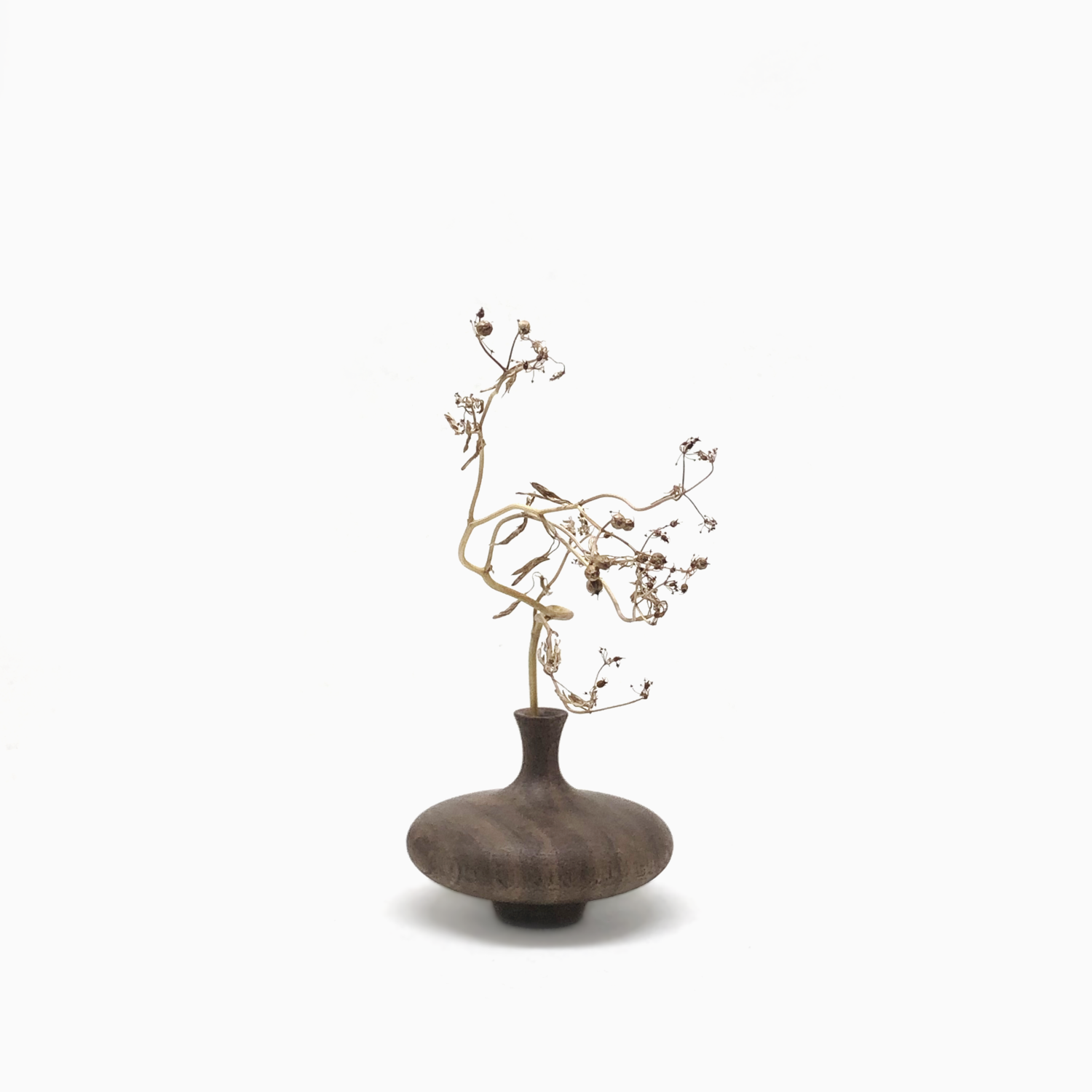 walnut.png