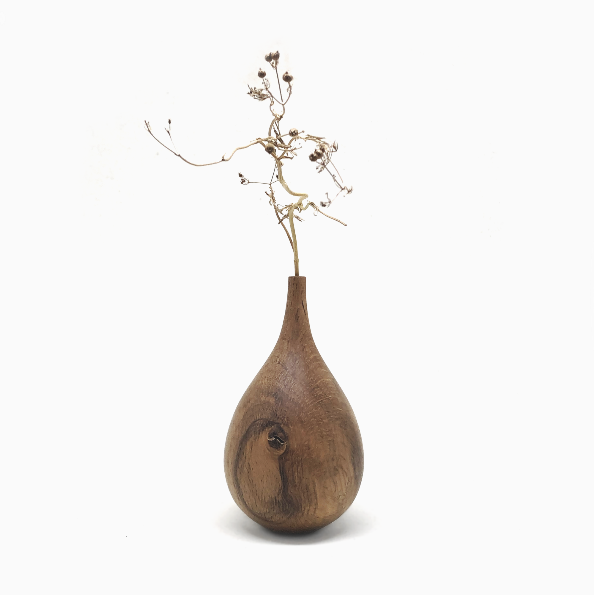 dark+oak+L.png