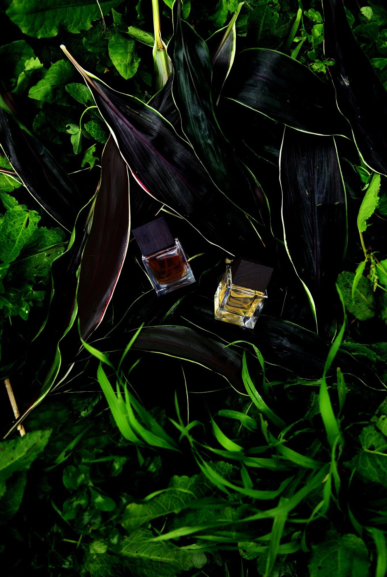 di+ser+cover.jpg
