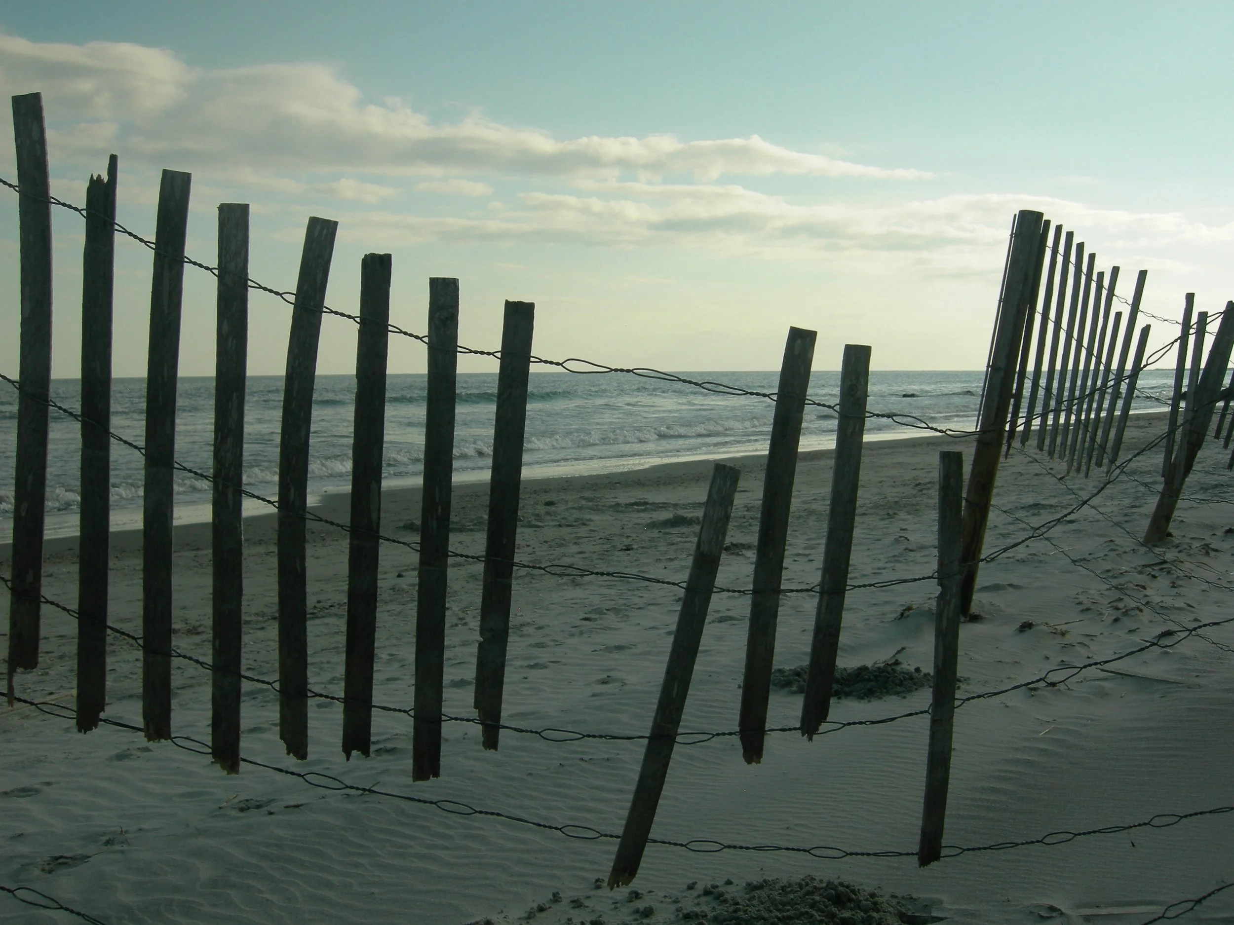 DSCN6051.jpg