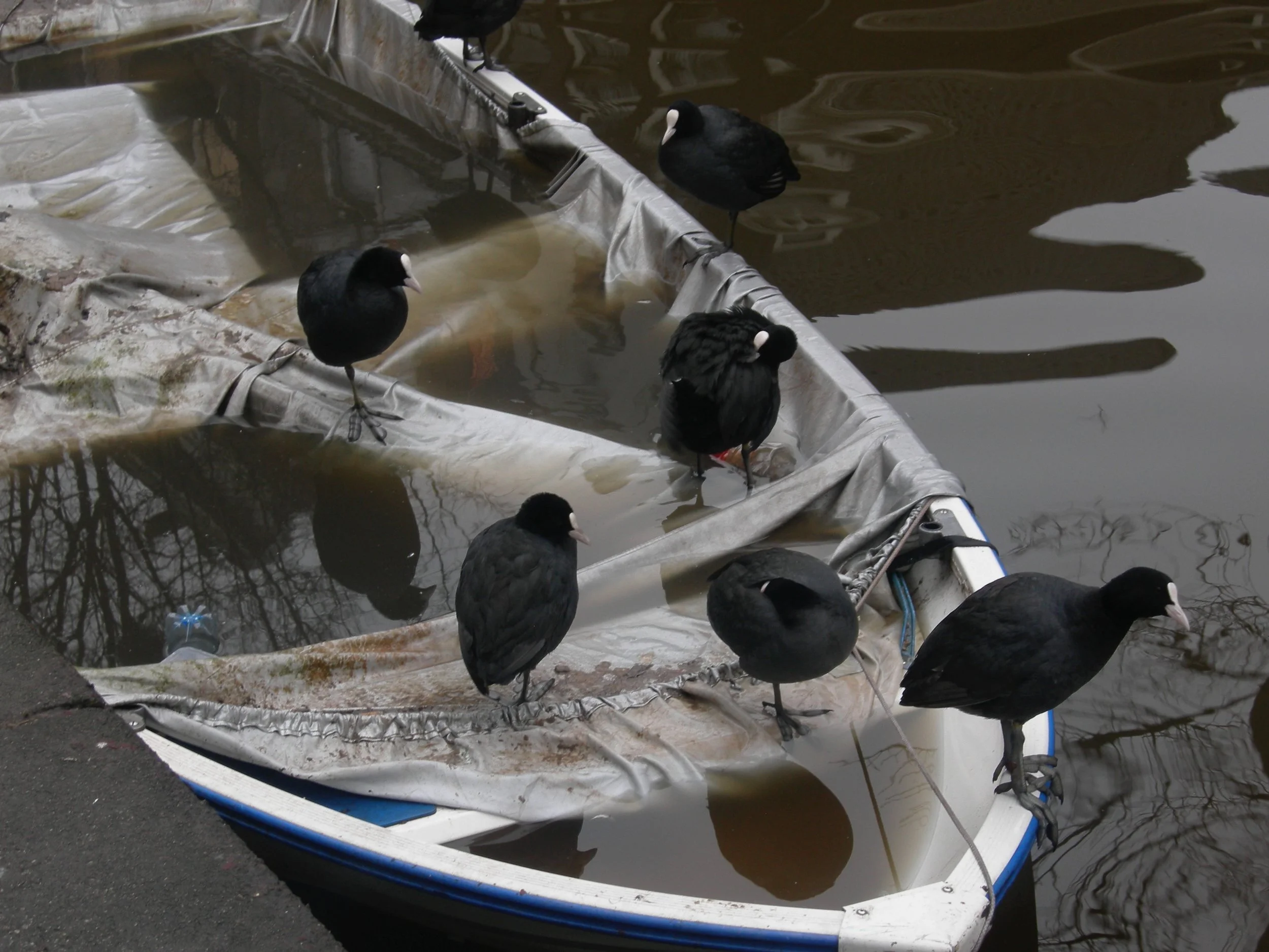 DSCN6700.jpg