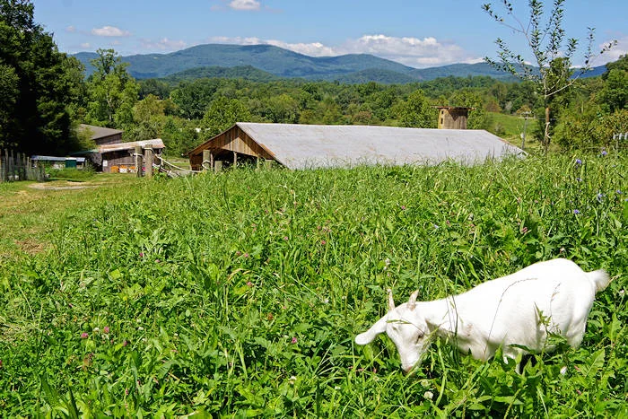 hickory-nut-farm-tour.jpg