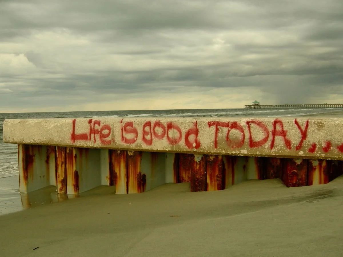 Life Is Good Today. Step Into It.&nbsp;