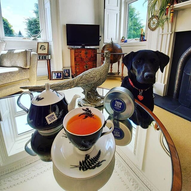 Lockdown Scottish style afternoon tea! Thanks for sharing your photo Louise (and Martha the dog)! 🙌🏻 Shop Earl Grey tea at thomandtea.com 
#earlgreytea #earlgrey #thomandtea #tea #premiumtea #tealover #scotland