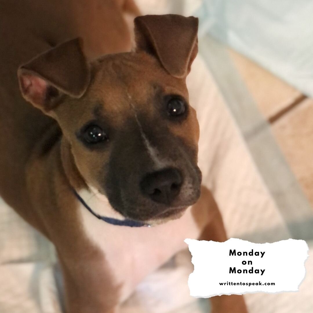 Monday on Monday