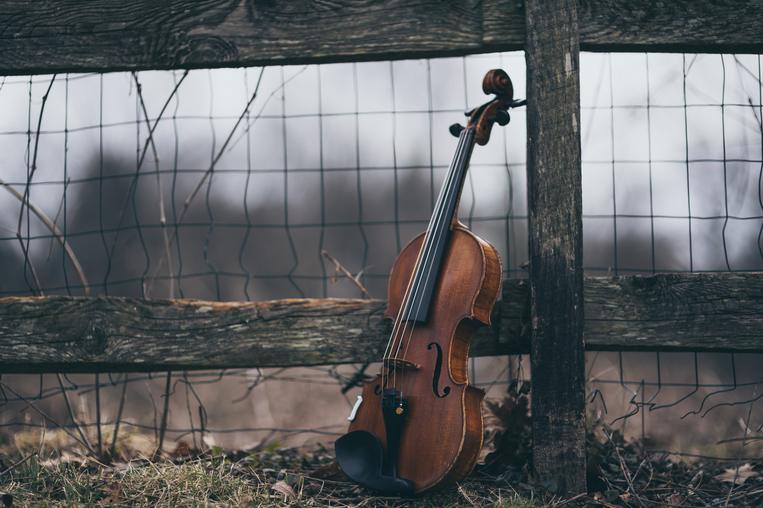 ABBY NIXON II-0059.JPG