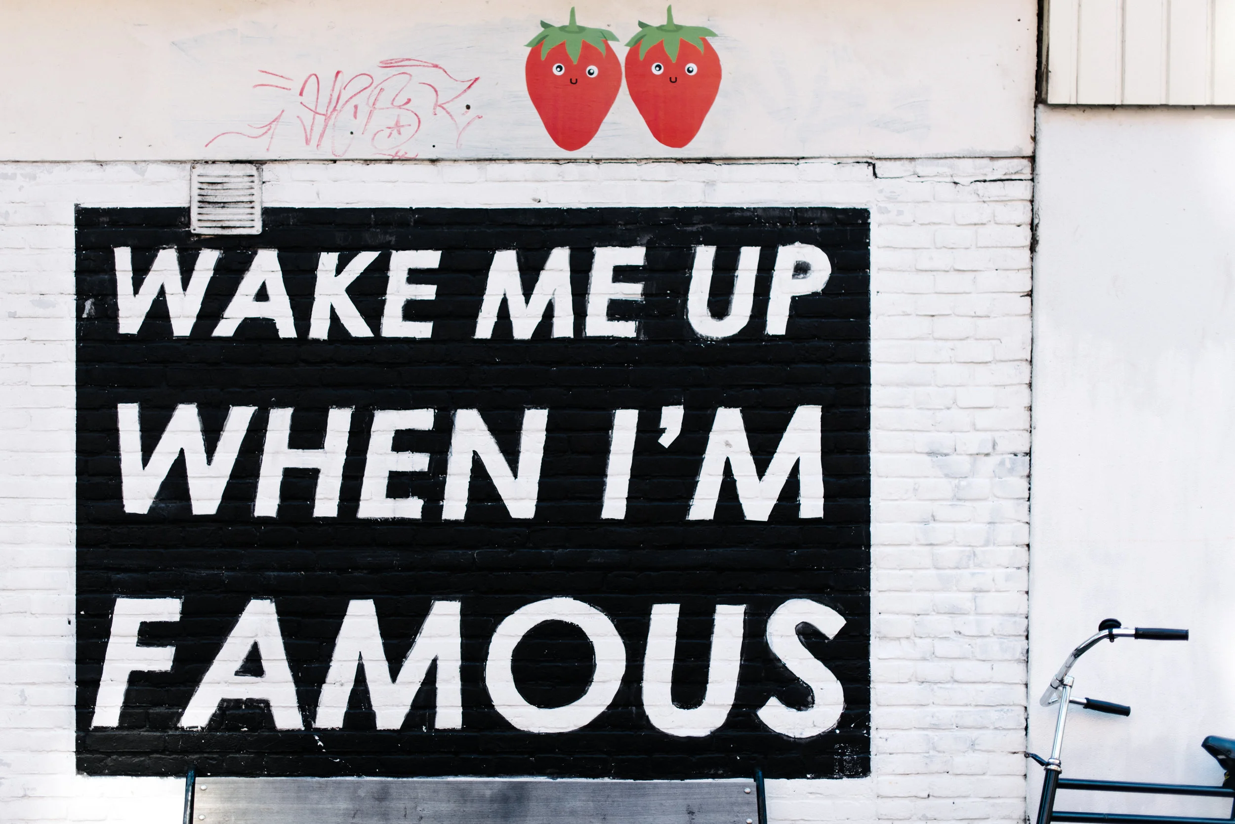 Photo by Alice Donovan Rouse