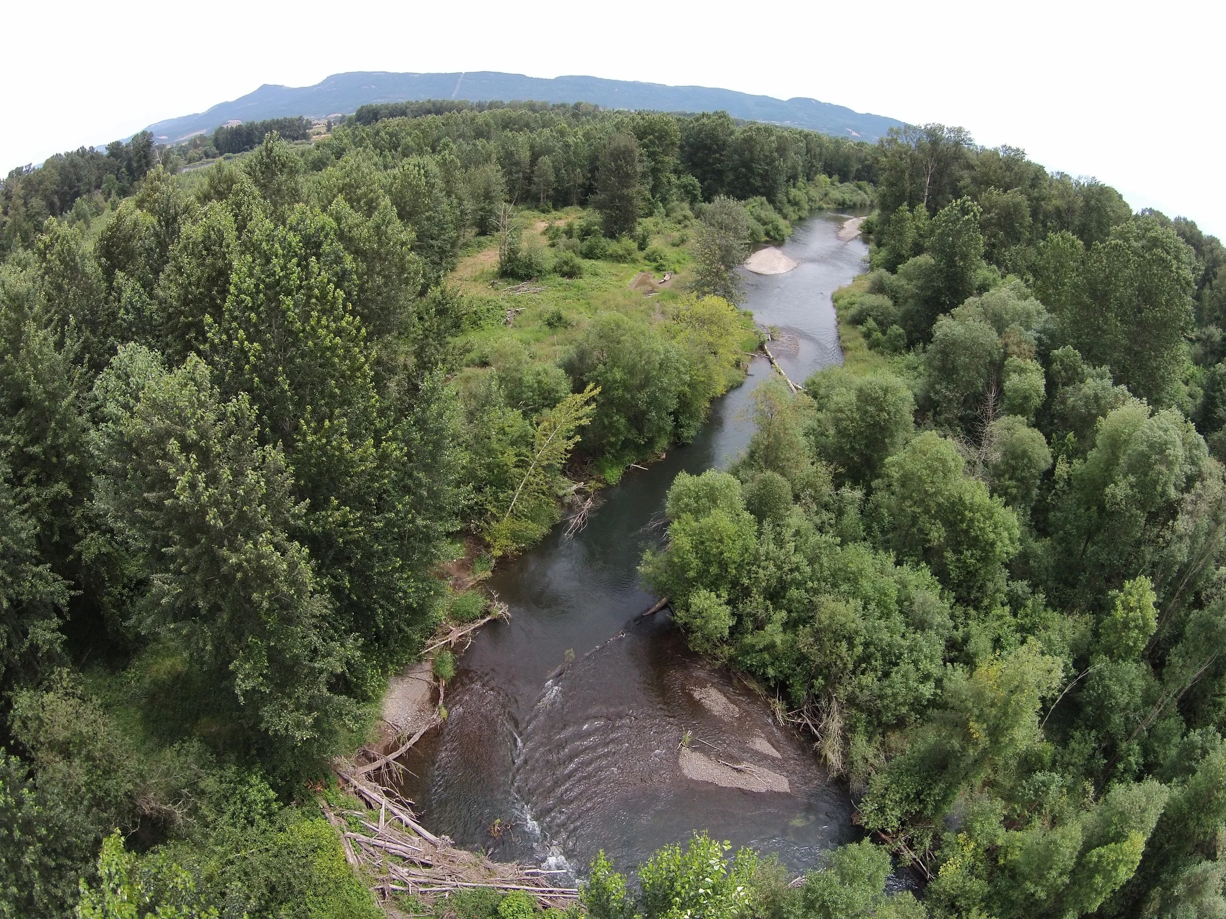 An amazing Greenway backchannel on the upper 40 miles of the Willamette. 
