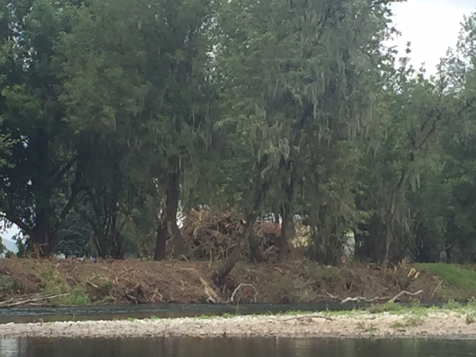 A landowner cuts all of the vegetation along a river bank - clearly the Greenway Goal 15 does not protect the riparian zone in some cases. 