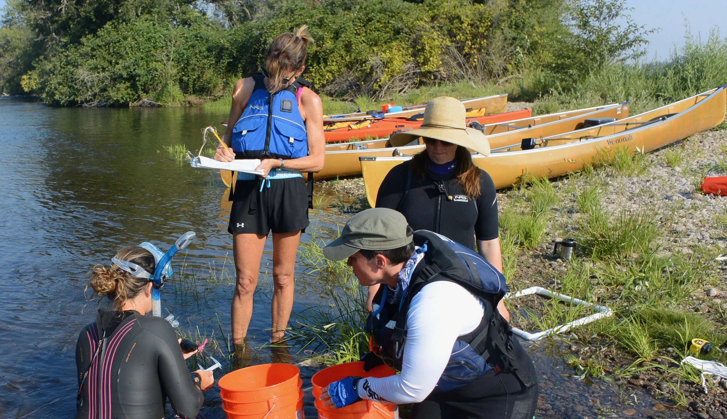 Our team measures and catalogs mussels - Summer 2017 . 