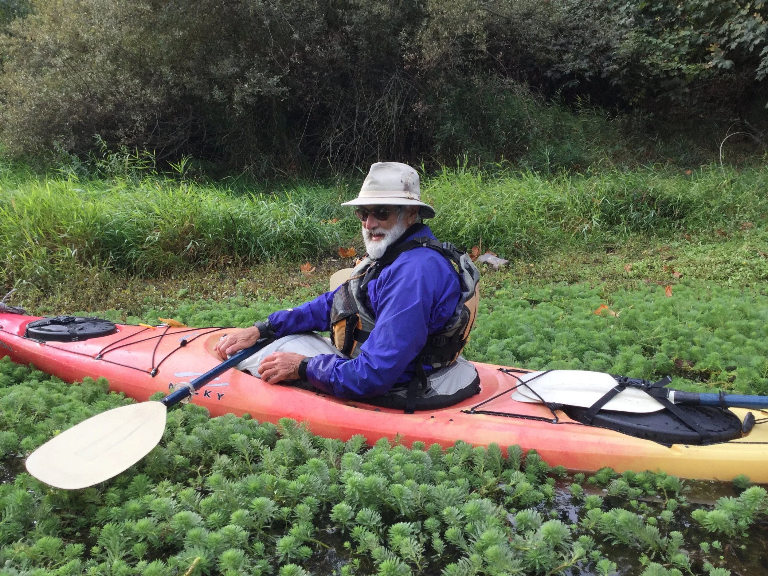 paddleandpull.jpg