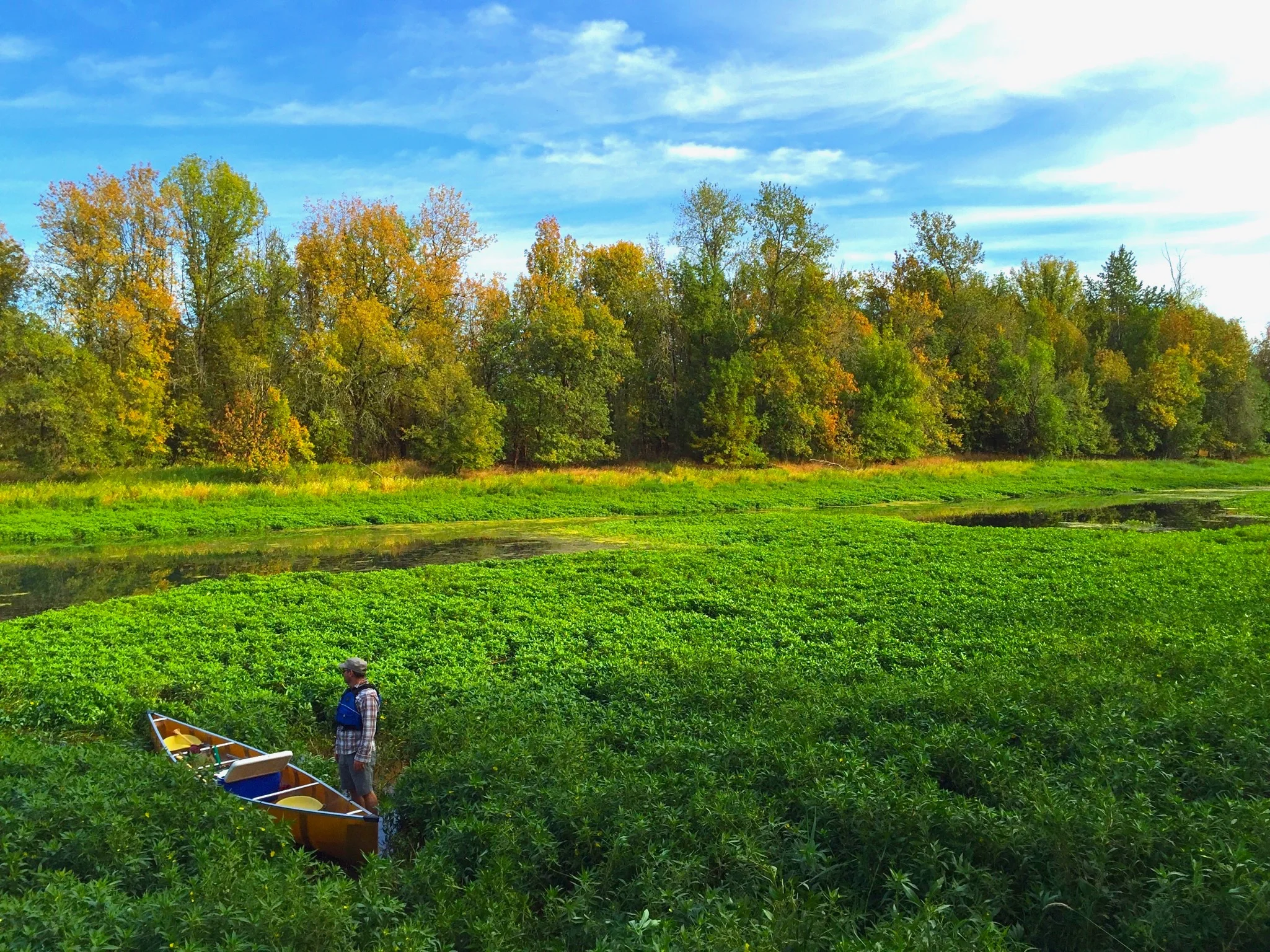 Peer to Peer Aquatic Invasive Weed Workshop