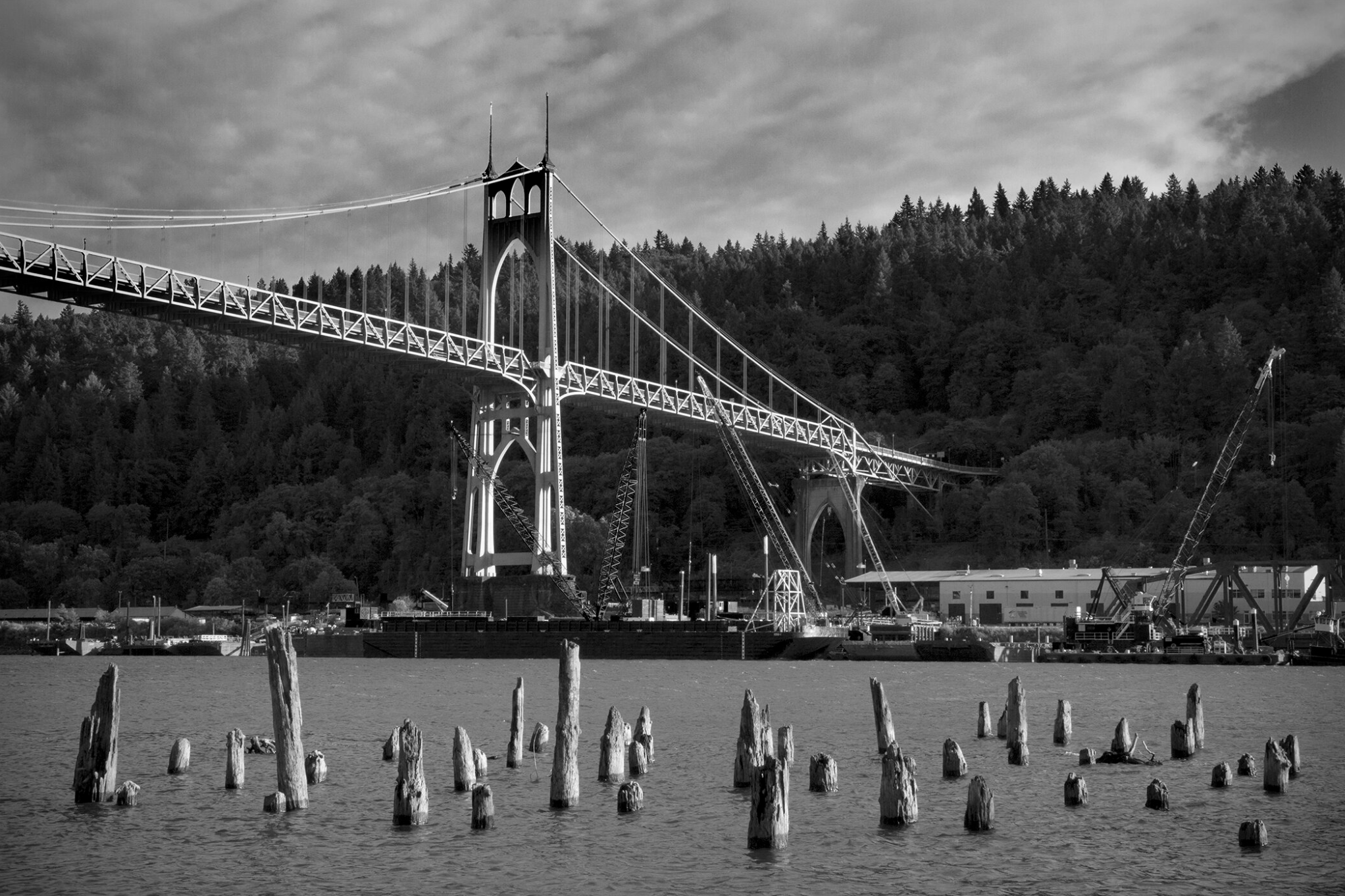 "16 Cranes" A Suerpfund Photo Exhibit + Community Conversation