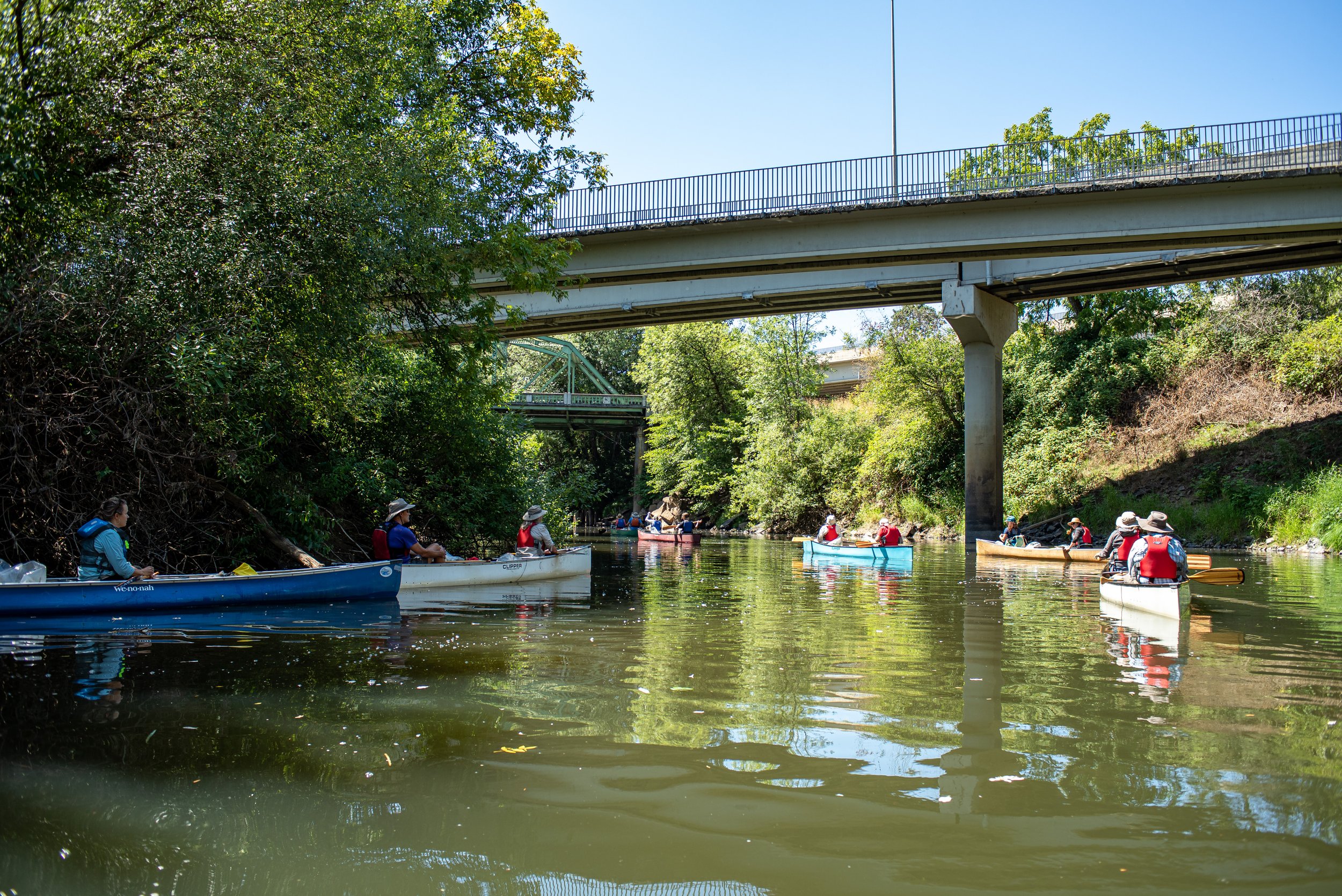 20190730 WRI Paddle and Pull.0402.jpg