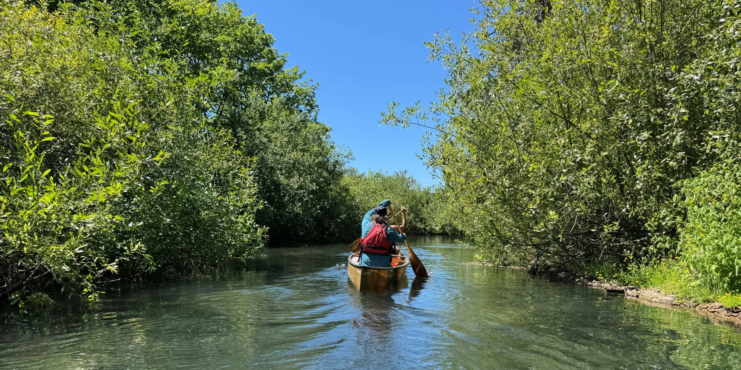 Learn to Paddle Your Willamette Water Trail: Paddling 101 (Flatwater)