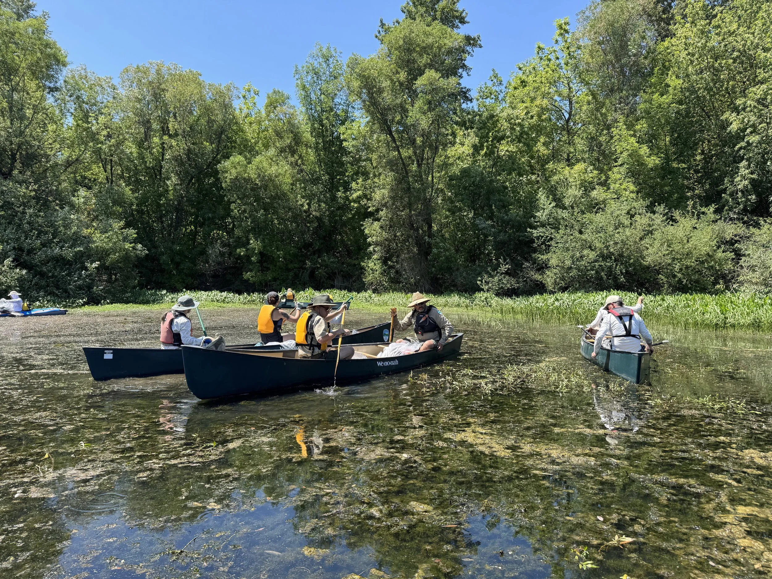 Corvallis "Paddle & Pull" #1 - July 11th, 2026 - Michaels Landing to Hyak Par
