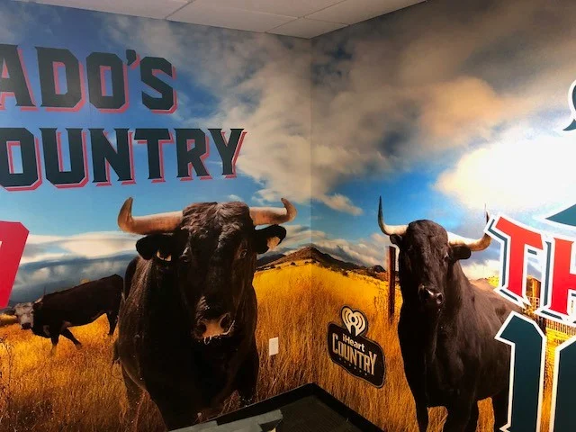 the bull 6.jpg