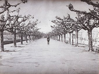 Anselm Kiefer, "Occupation 1969" (1969)