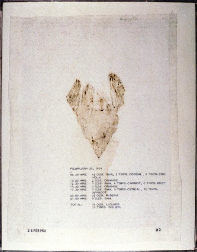 Mary Kelly Post-Partum Document, Documentation I Analysed Fecal Stains and Feeding Charts, 1974