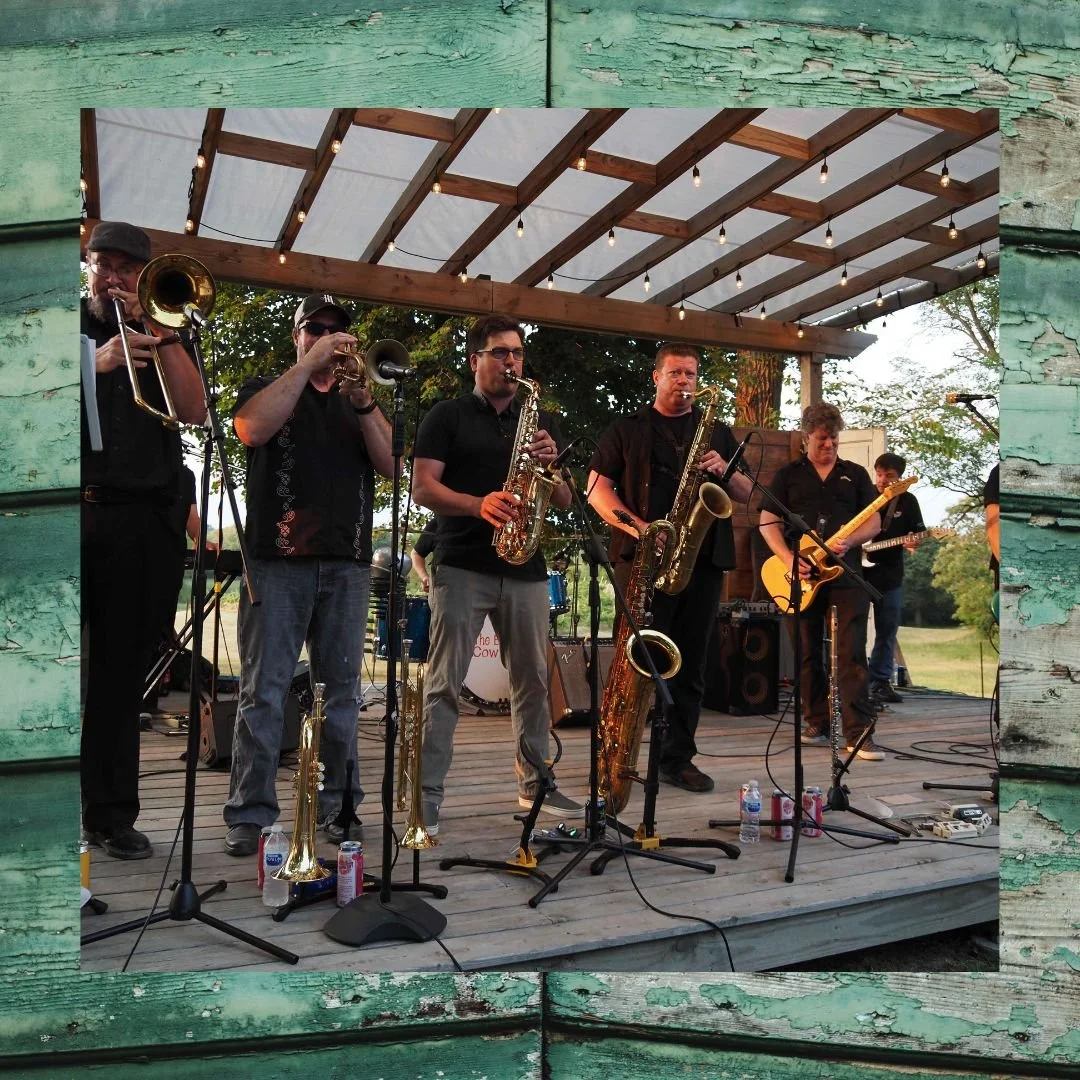 Concert in the Vines - The Belfast Cowboys  