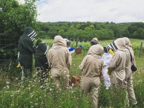 Bee-keeping at Albury Vineyard. Source: Albury Organic Vineyard