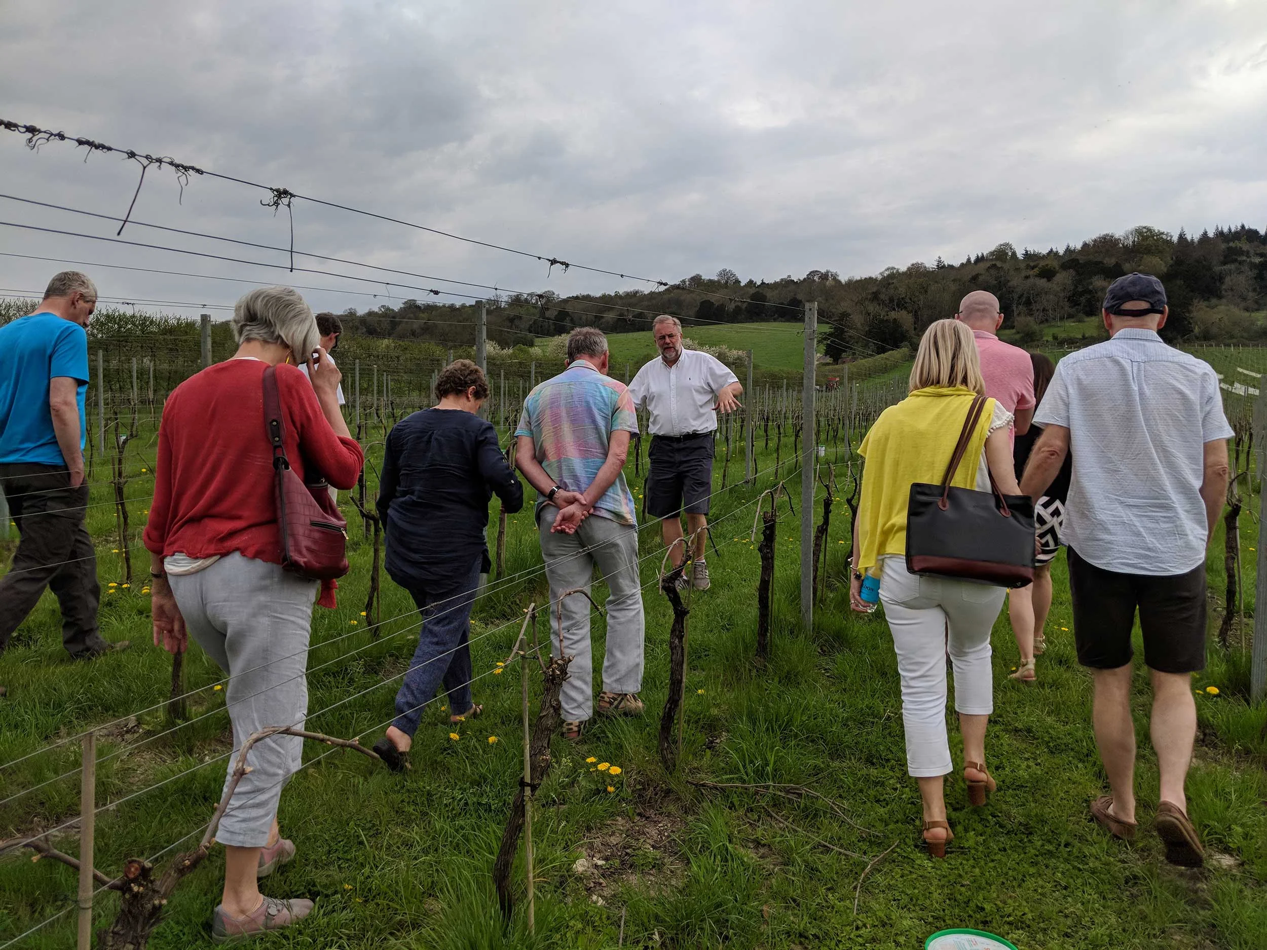 Vineyard tour at Albury Organic Vineyard